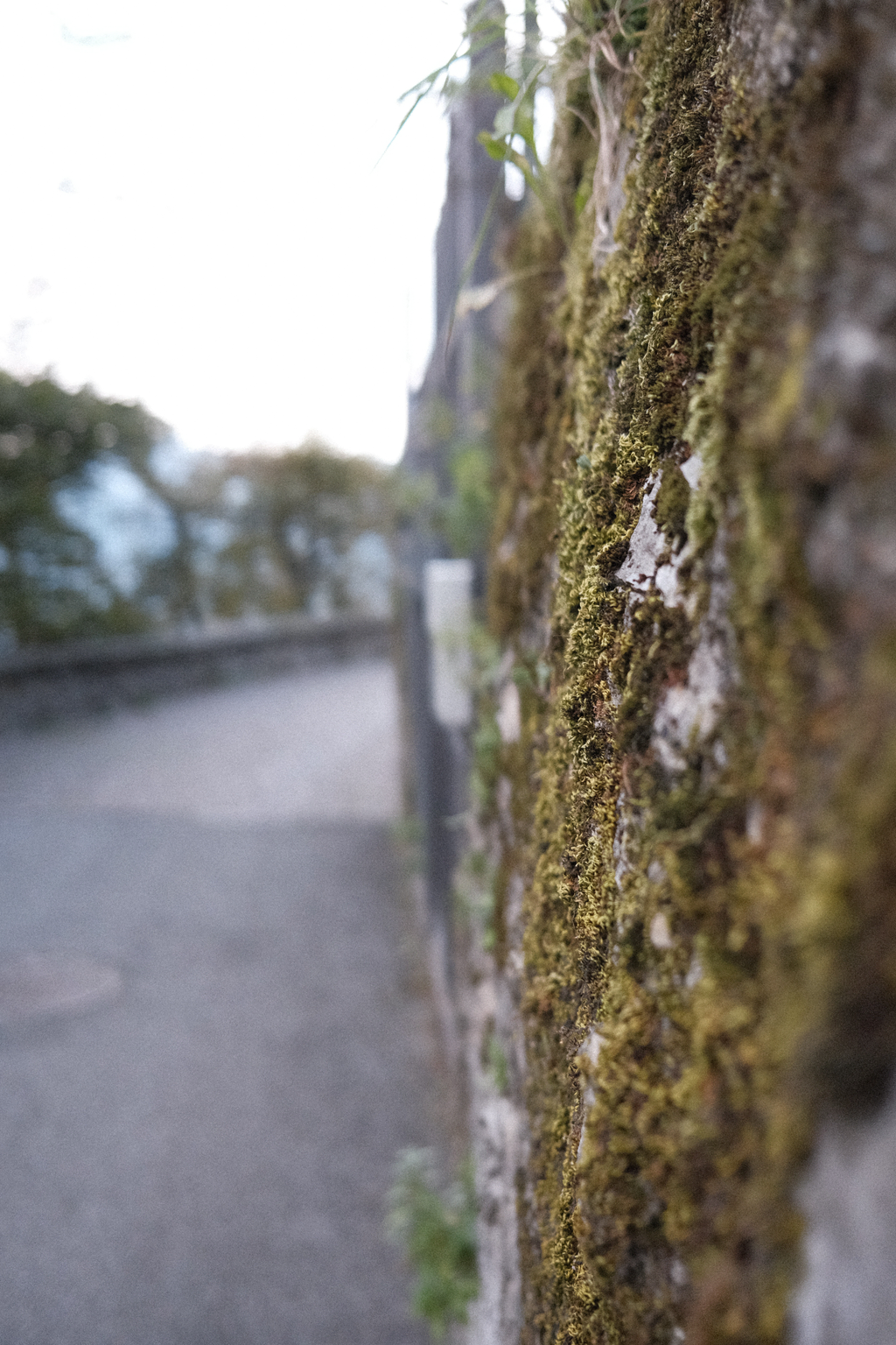 Mossy rock along a winding street