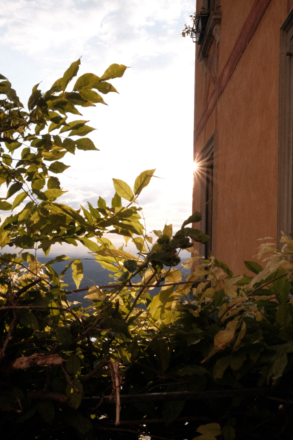 Plants next to a pink building as the sun emerges from behind