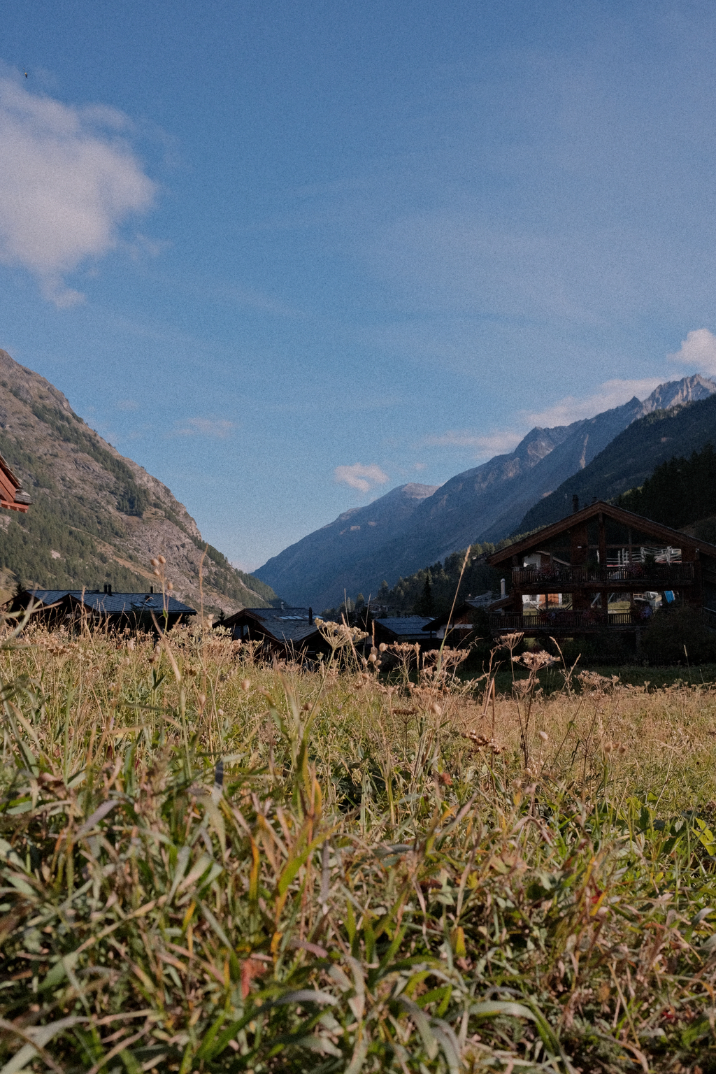 A field of wild grass over looking the Zermatt valley in the distance