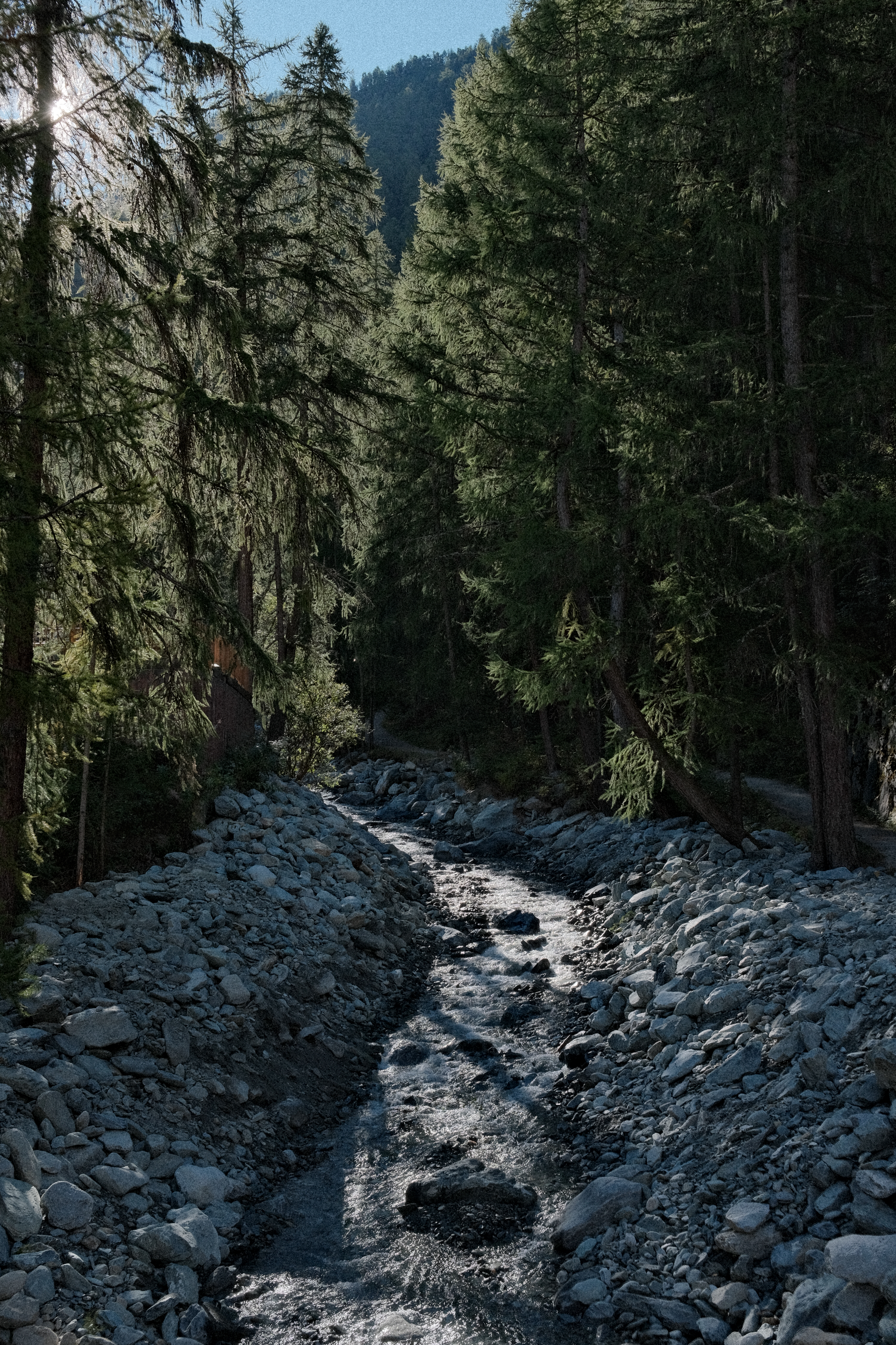 Alpine stream that ran directly in front of our AirBNB