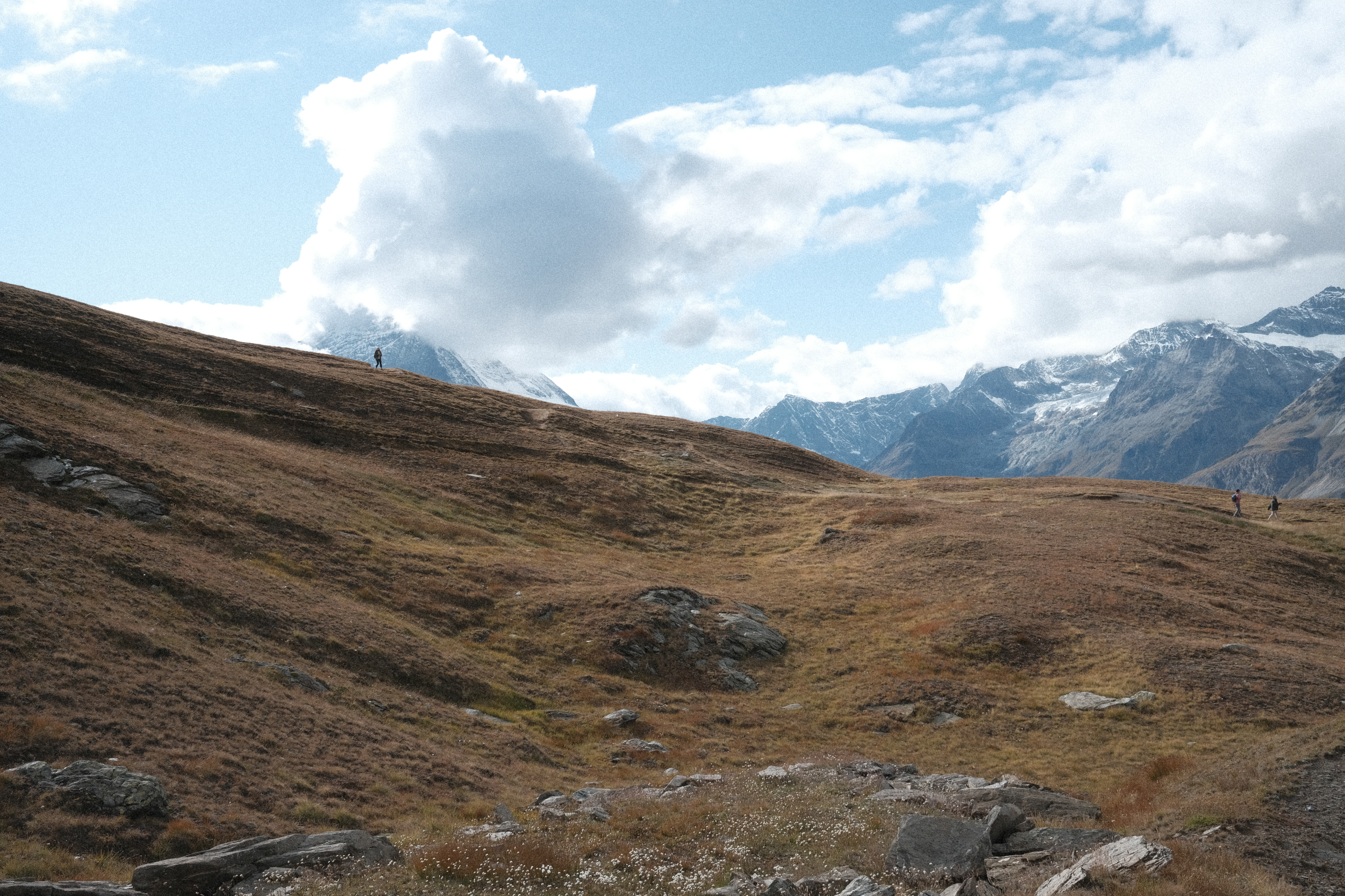 Groups of hikers hiking down from Gornergrat to Riffelberg across a high-alpine field