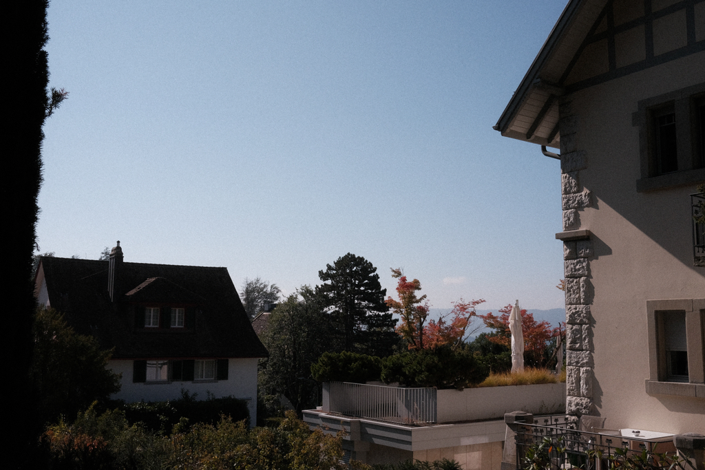 Rooftops of a neighborhood near the Dolderbahn with the first hints of fall in the surrounding trees