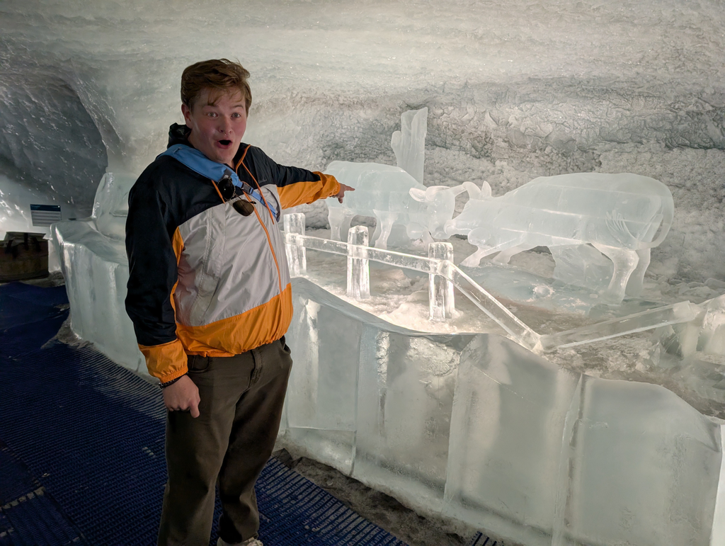 Sean pointing at an ice sculpture of cows